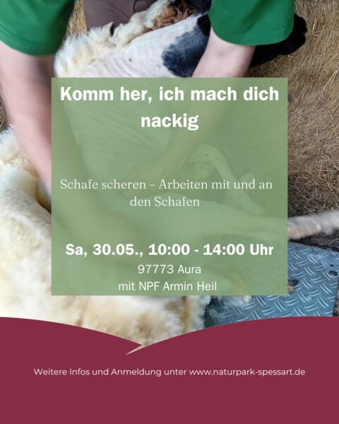 komm-her-ich-mach-dich-nackig