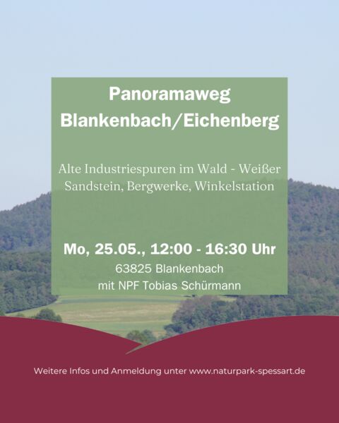 panoramaweg-blankenbacheichenberg