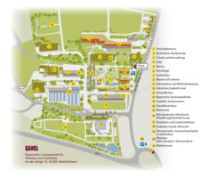 Quer durch den Garten: Gemüse, Beet- und Balkonpflanzen