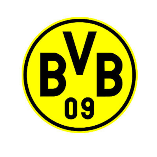 tsv-bad-konigshofen-bv-borussia-09-dortmund