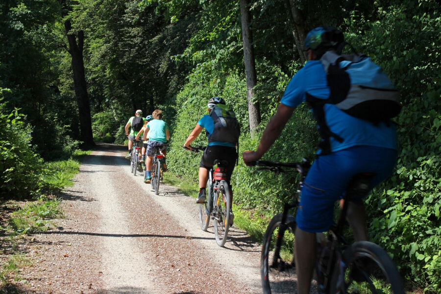 fahrradtour-fur-manner-im-ochsenfurter-gau